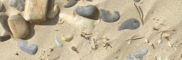 赵 banner