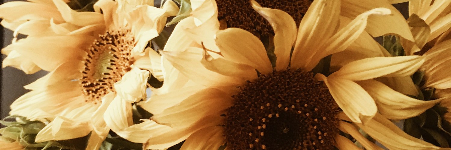 ranidujardin's profile banner image