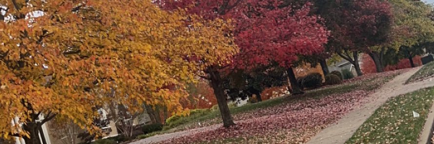 JMPhoto5's profile banner image