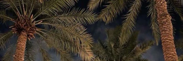 Mohammed . banner