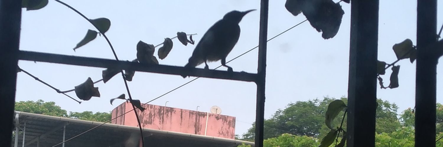 Bhanu Seshadri's banner