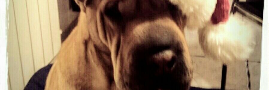 Poliuts's profile banner image