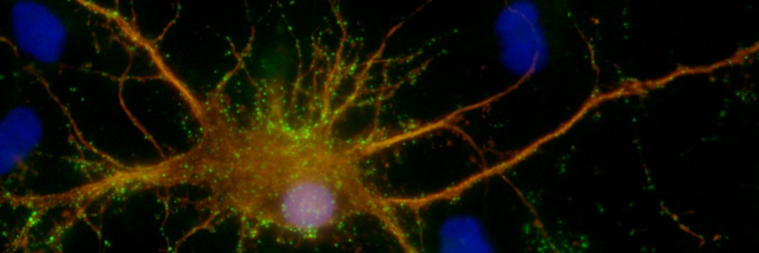 Jorge2140_btc.eth (💙,🧡) banner