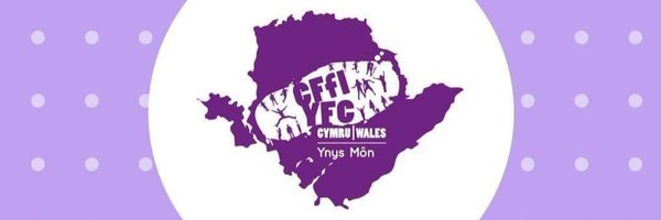 cffiynysmon Profile Banner