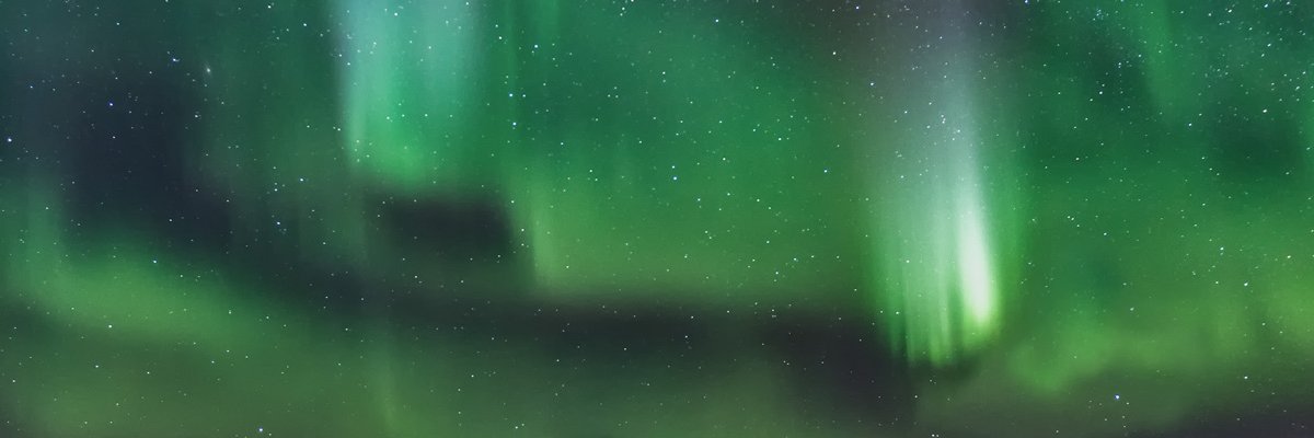 NFTstΞvie 🦍 banner