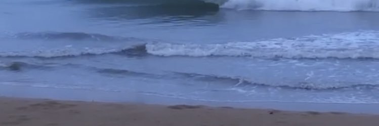 pqear01's profile banner image