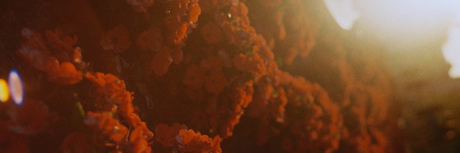 nnanaii_'s profile banner image