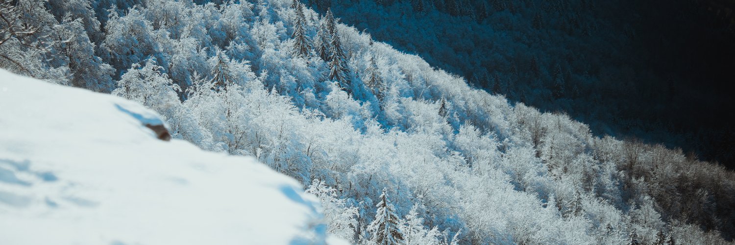 Crypto Sophie banner