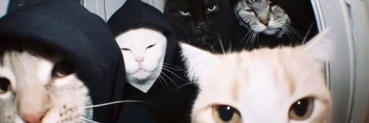 v2bakery's profile banner image