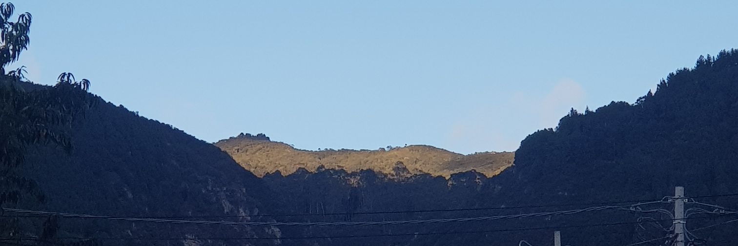 Andrés Palacios Mateus banner