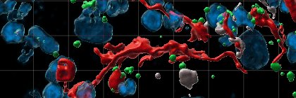 SellgrenLab's banner