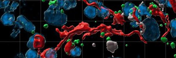 SellgrenLab Profile Banner