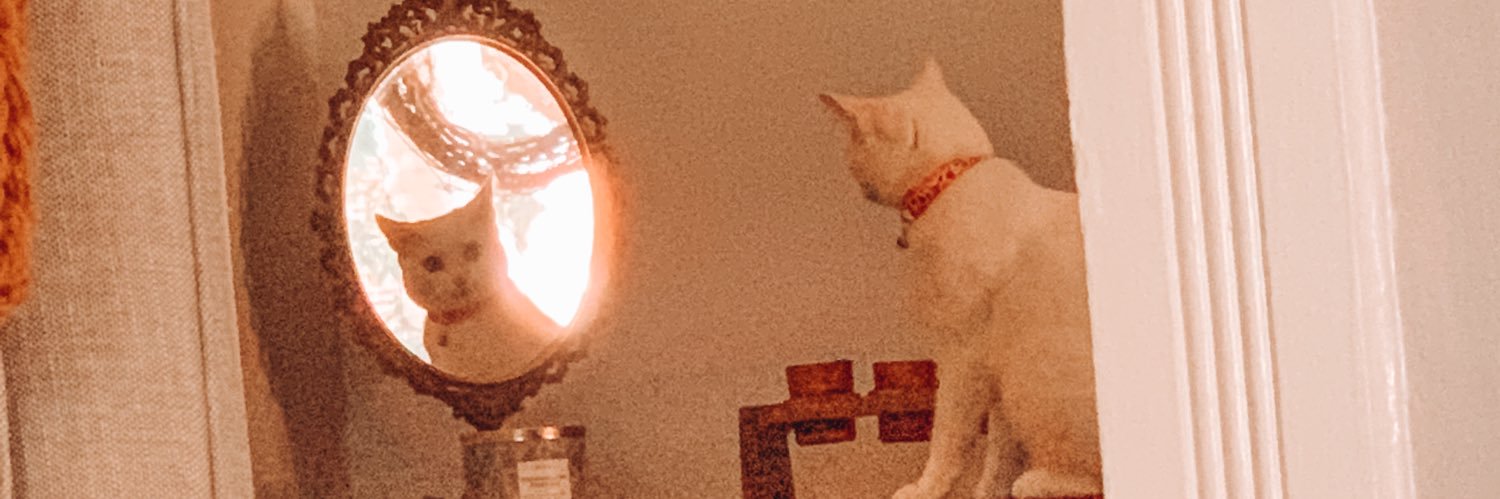 ansleynewmann's profile banner image