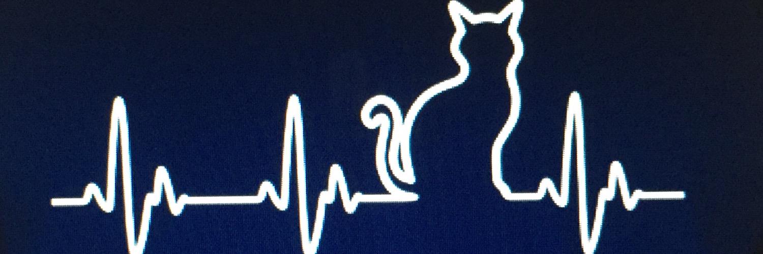 munequitodeeban's profile banner image