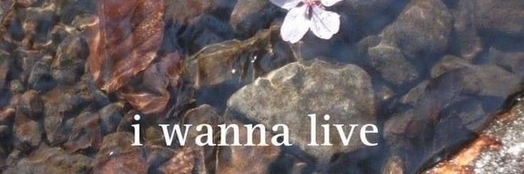 RayOfSunsCurse banner