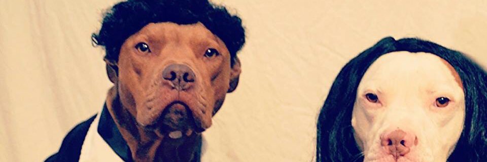 FoxRemhenry's profile banner image
