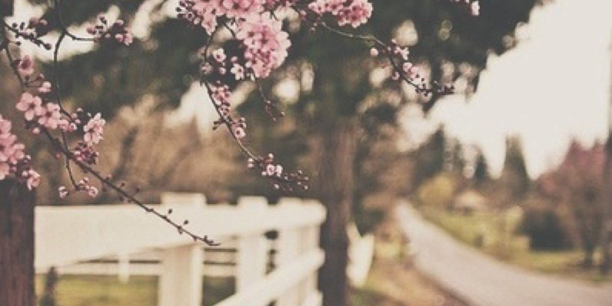 eevamariaa's profile banner image