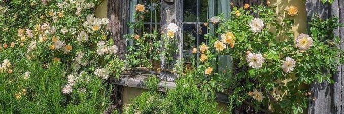 julia | and i‘d do it again ☼ banner