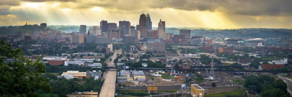 Cincinnati Monkeys banner