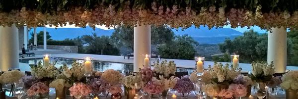 wildaboutflower Profile Banner