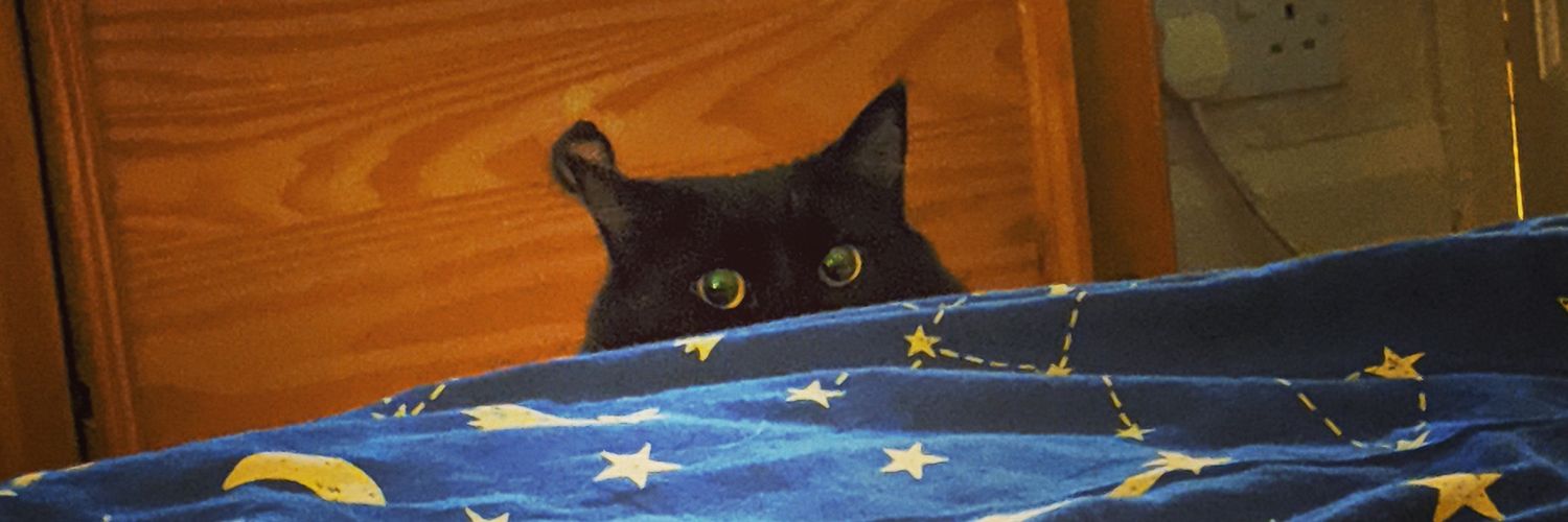 AuntyBoon's profile banner image