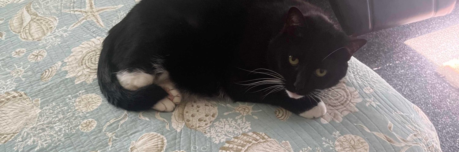 DoooGote second banner