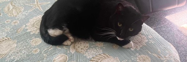 DoooGote Profile Banner