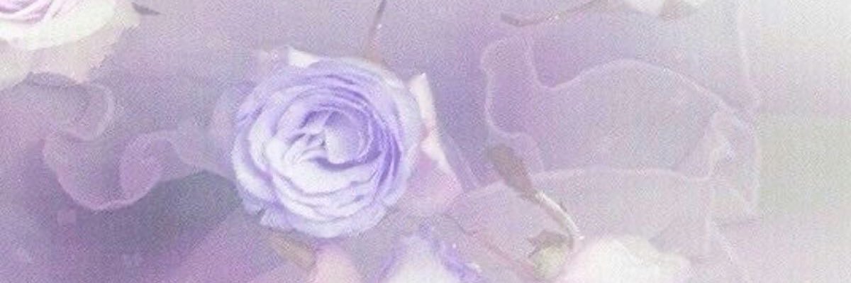 𝓕𝓪𝓲𝓻𝔂𝓯𝓵𝓸𝓼𝓼💜 Rest banner