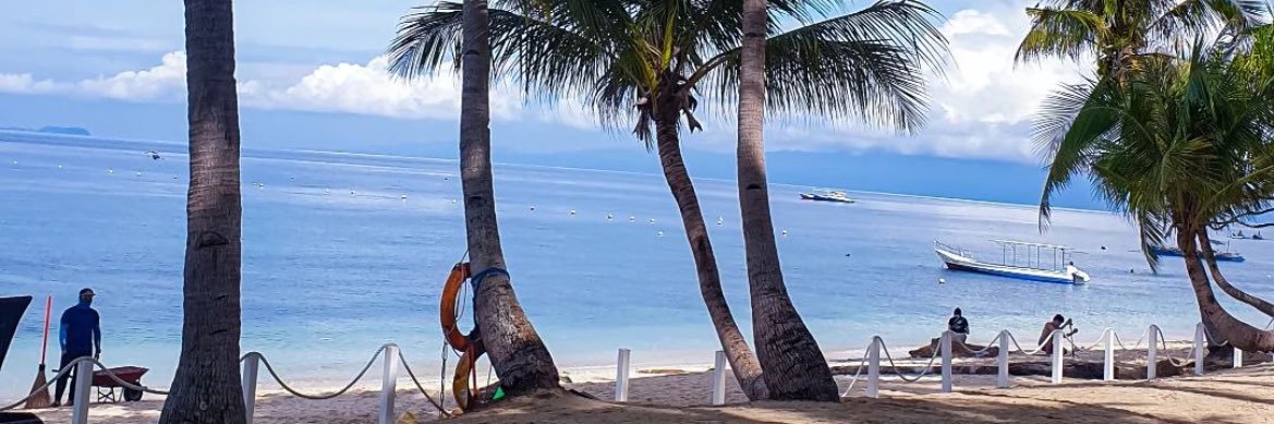 🐈🐈‍⬛ banner