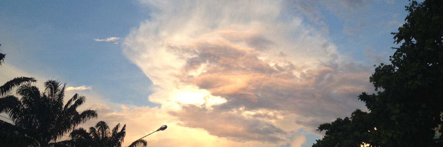 APPOPLEE's profile banner image