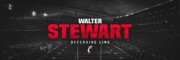 TheGuruStew Profile Banner