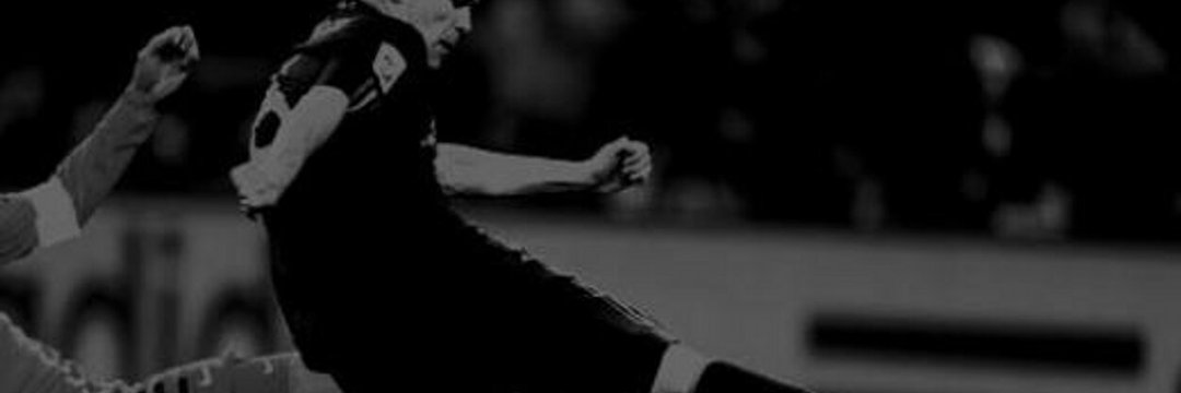 elperrosanxe's profile banner image