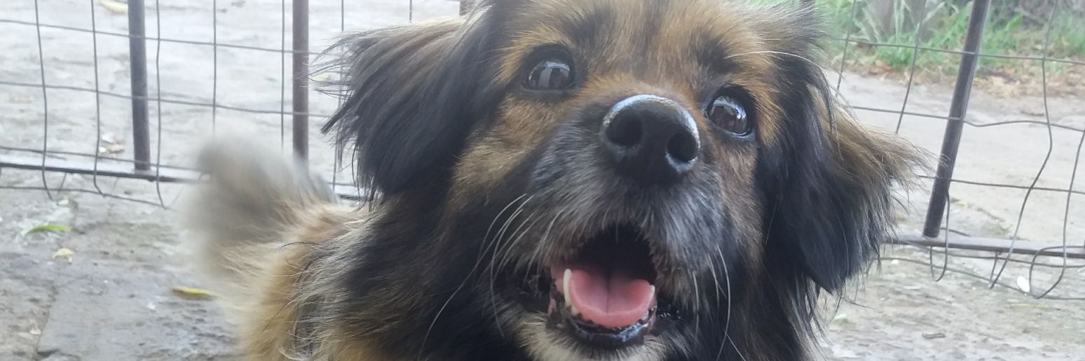 VickySenaG's profile banner image