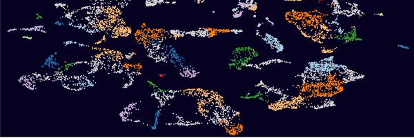 DavidESanin Profile Banner