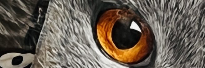 Moonishex's profile banner image