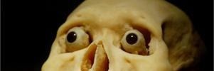 TheVoidWelcomesYou banner