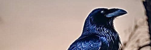 🇩🇪✝️ HeimiO ✝️🇩🇪 banner