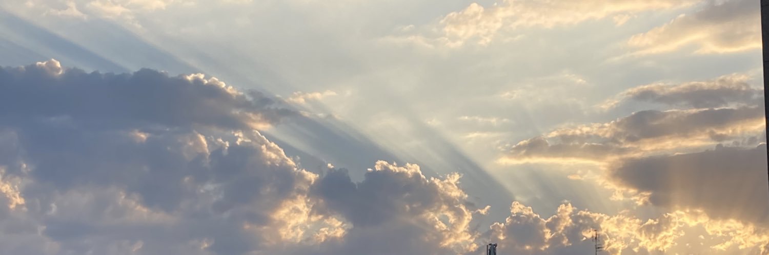 selabernardez's profile banner image