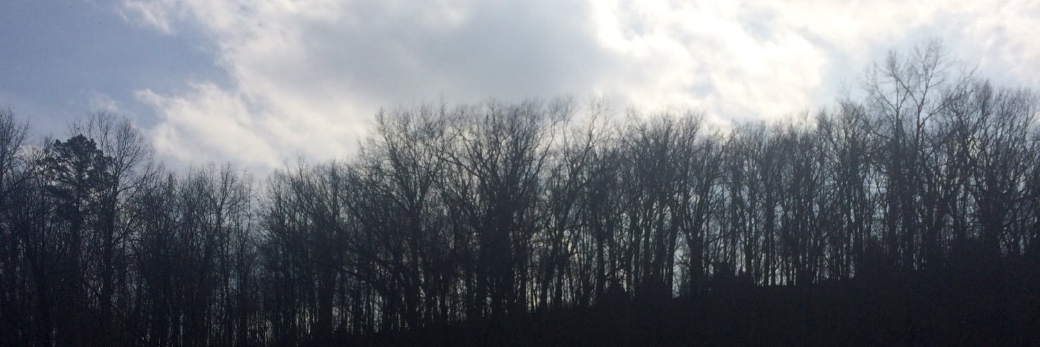 TabithaNewton23's profile banner image