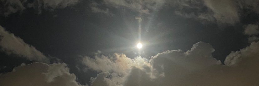 MITUmindpicture's profile banner image