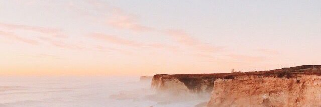 jensen kendall banner