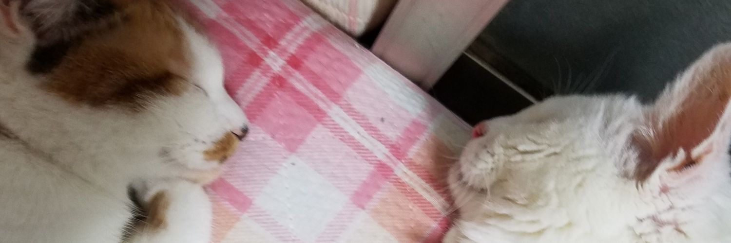 GESUNEKO_MII's profile banner image