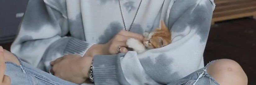 SKUTEB0B0's profile banner image
