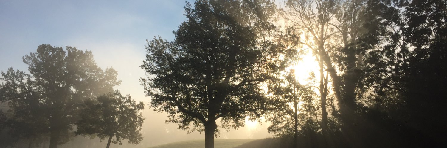 lostinlake2's profile banner image