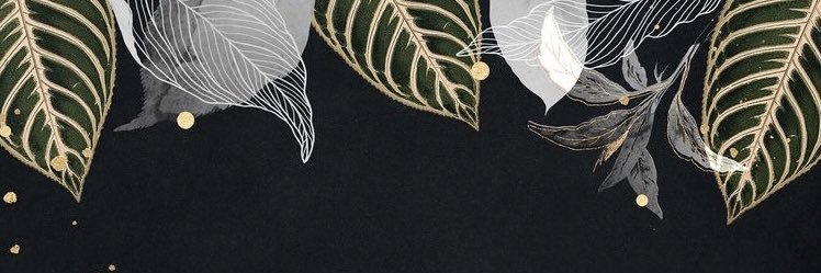 agintaa's profile banner image