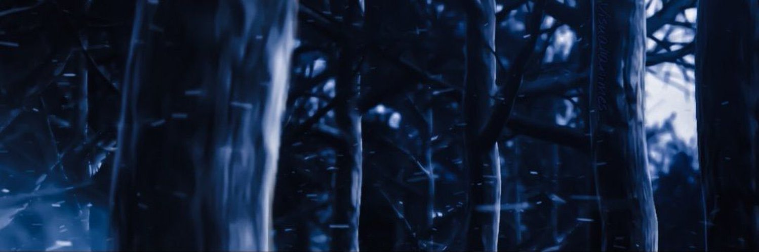Demon Slayer's banner