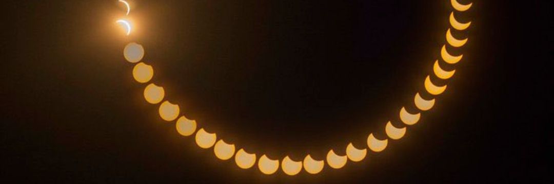 The Free Bird ❤️ॐ banner