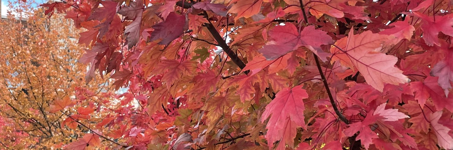 Natalie Nguyen, DO banner