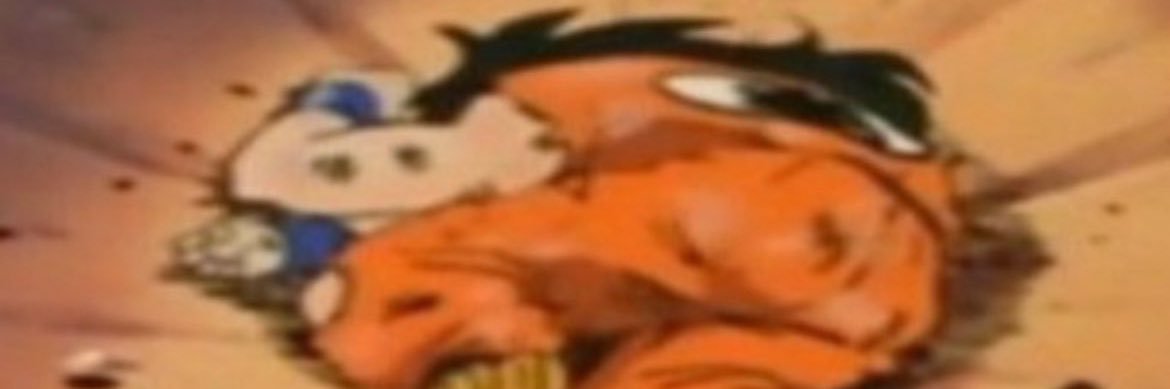 Skwidrd🍉 banner
