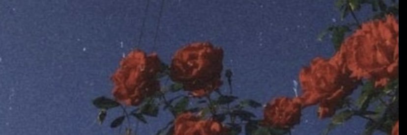 JeremiahBrou's profile banner image